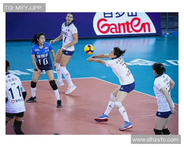 深圳排球队实力展现引发关注大满贯点评其表现与未来发展